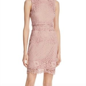 NWT AQUA Lace Bodycon Sleeveless Dress Mauve, S